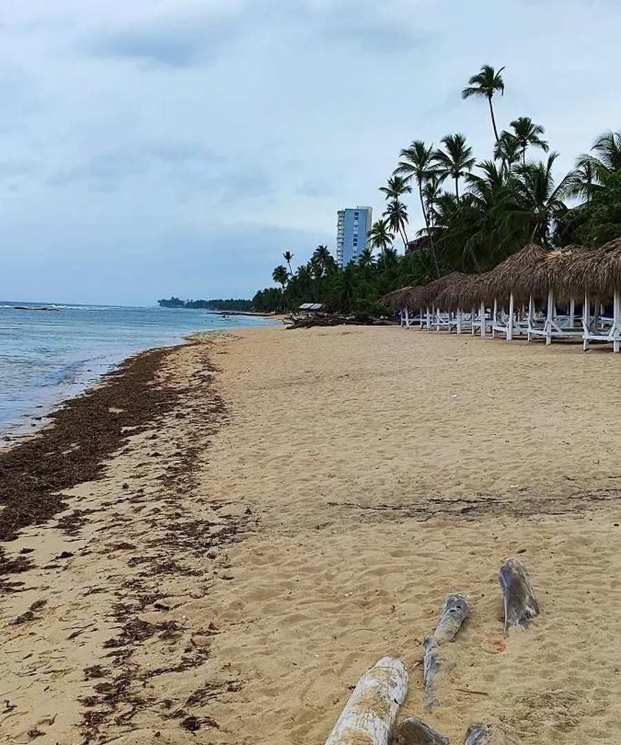 璜多里奥Vista Al Mar Live公寓 公寓